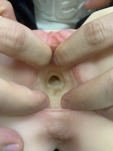 美国taisen屁股系列玛莎飞机杯推荐名器真人倒模飞机杯测评-九鬼社 - 二次元飞机杯排行榜与推荐