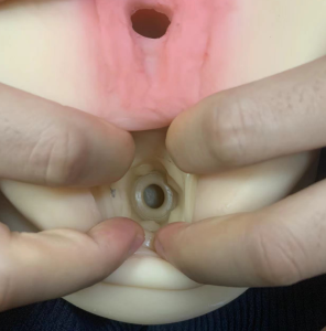 美国taisen美乳系列乳巢飞机杯推荐名器真人倒模飞机杯测评-九鬼社 - 二次元飞机杯排行榜与推荐