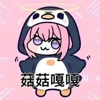 从柔情猫娘到GO朕的后宫,再到对子哈特,谈谈这几个月体验感受3 _1_摸鱼躺尸_来自小红书网页版