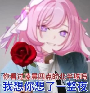 2026年飞机杯科普挑选!如何挑选飞机杯?体验分享!-九鬼社 - 二次元飞机杯排行榜与推荐