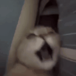 lovegif_1785750447909