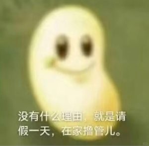 “慢玩”飞机杯推荐,如果你在找“慢玩”,这篇就是为你准备的-九鬼社 - 二次元飞机杯排行榜与推荐