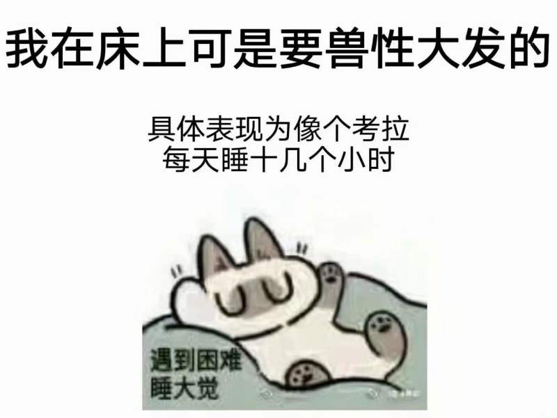 “为你两肋插管”— 哈利路亚(中高刺激)评测4 “为你两肋插管”— 哈利路亚(中高刺激)评测4