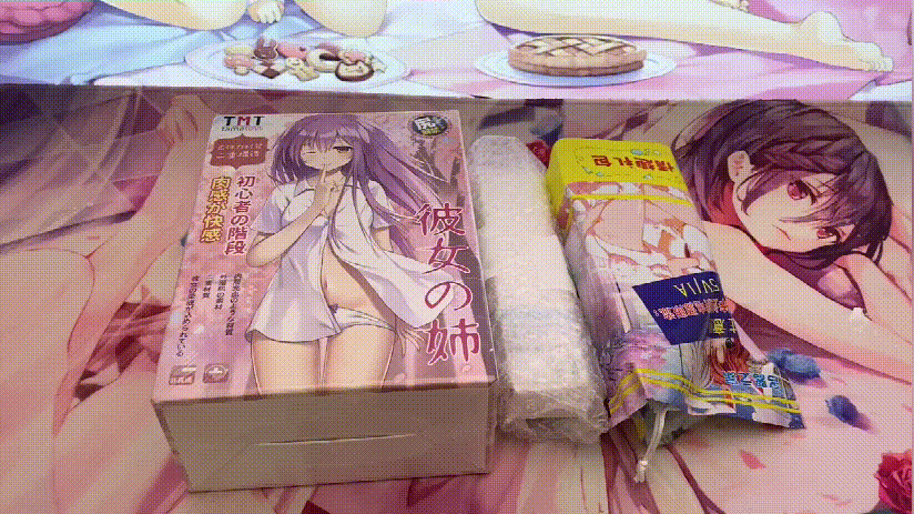 TMT“彼女姐姐”飞机杯评测 – 我拿下女神的秘诀就是它！-九鬼社 - 二次元飞机杯排行榜与推荐